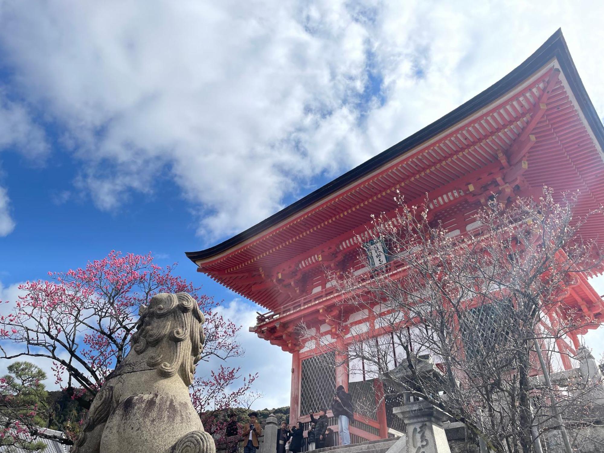 Hotel Amanek Kyoto Kawaramachi Gojo Εξωτερικό φωτογραφία